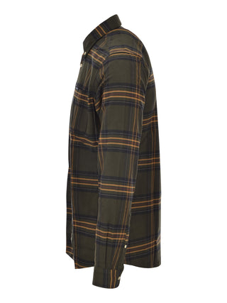 OL51 OLIVE