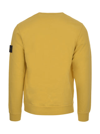 V0033 OCHRE