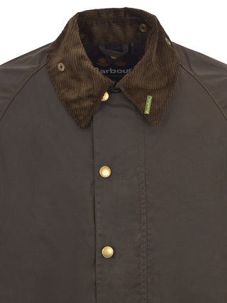 OL71 OLIVE