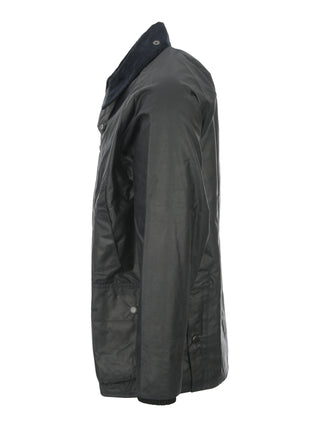 Veste - Barbour Bedale