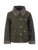 OL71 OLIVE