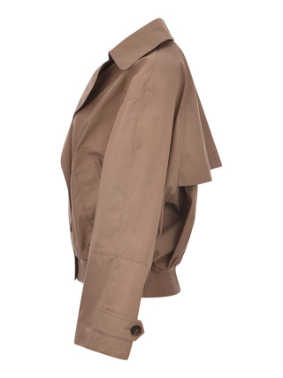 C7538 TORTORA
