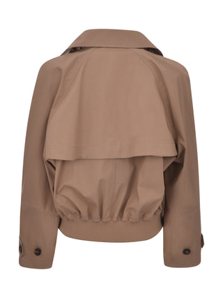 C7538 TORTORA