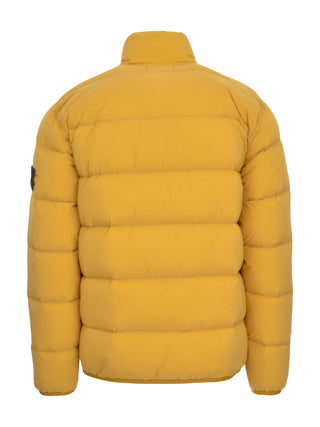 V0034 MUSTARD