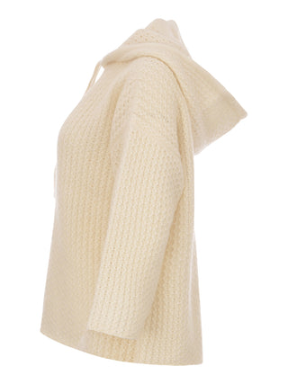 Fabiana Filippi Sweater - MAD215F076-L551
