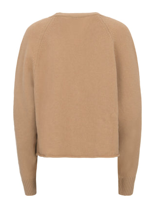 Steckbrücke Laneus – F5LAWOCA369