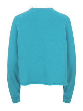 Steckbrücke Laneus – F5LAWOJP034