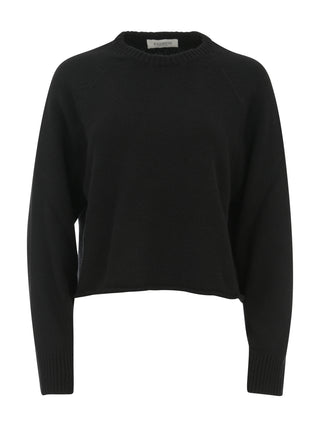 Steckbrücke Laneus – F5LAWOJP034