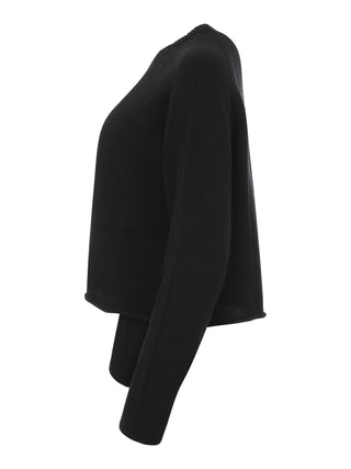 Steckbrücke Laneus – F5LAWOJP034