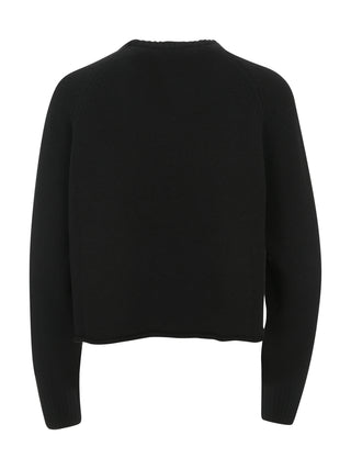 Steckbrücke Laneus – F5LAWOJP034