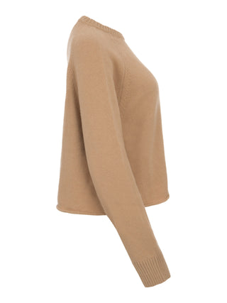 Steckbrücke Laneus – F5LAWOJP034