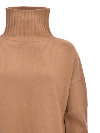 003 CAMMELLO