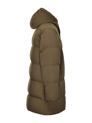  V0058 OLIVE