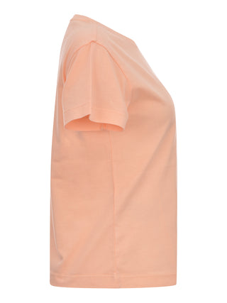 N38 ROSA
